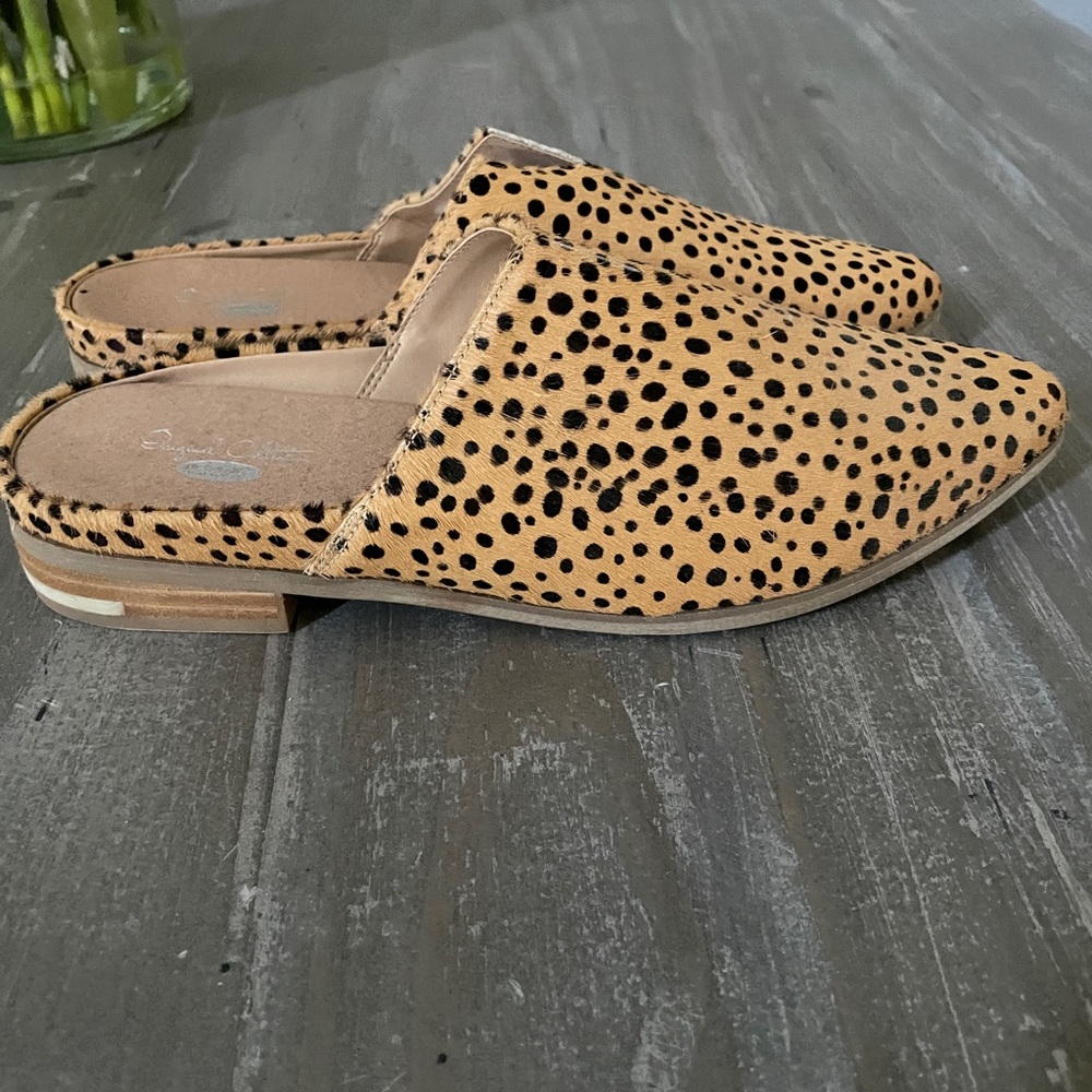 Original Collection Dr Scholls